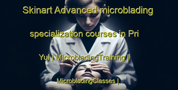 Skinart Advanced microblading specialization courses in Pri Yul | MicrobladingTraining | MicrobladingClasses | SkinartTraining-Russian Federation